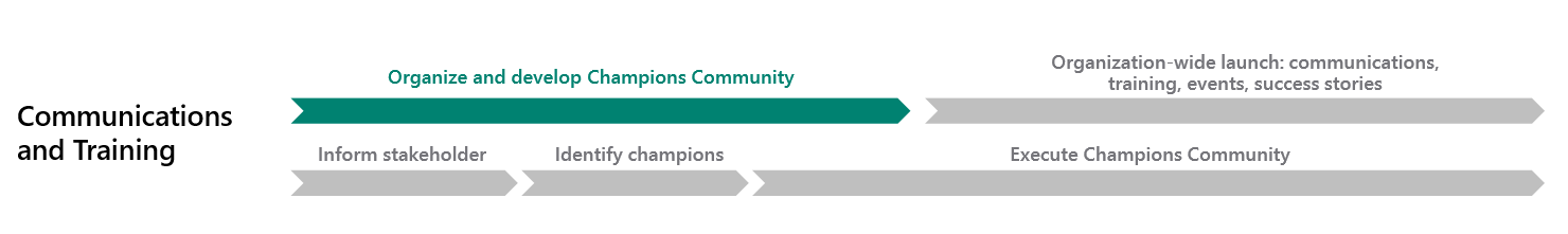 Fase d'organització i desenvolupament de la comunitat de campions.