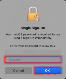Captura de pantalla de una ventana de inicio de sesión único que solicita al usuario que escriba su contraseña de cuenta local.