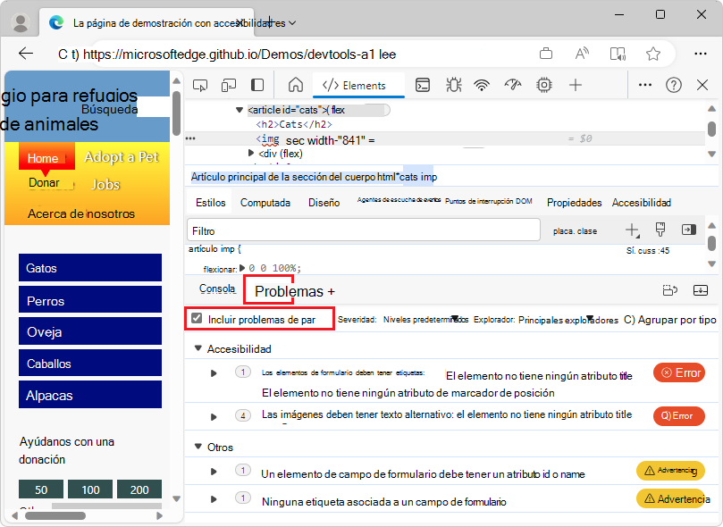 El panel Problemas con la casilla 