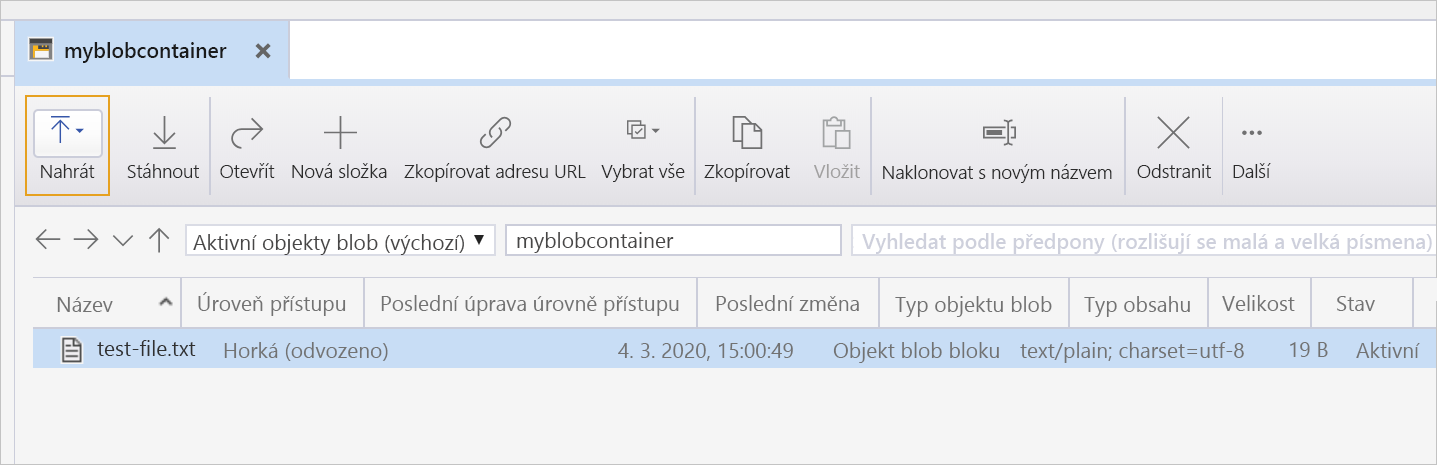 Snímek obrazovky znázorňující soubor v účtu úložiště