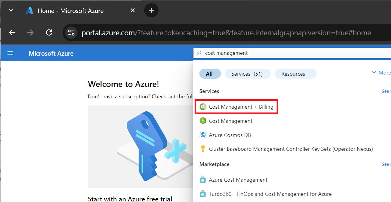 Snímek obrazovky znázorňující hledání na webu Azure Portal