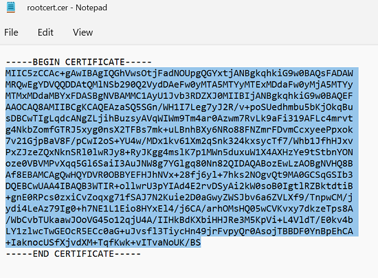 Snímek obrazovky zobrazující informace o kořenovém certifikátu v Poznámkovém bloku