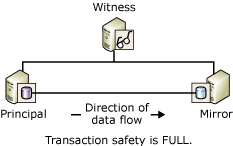 Svědek a dva partneři relace