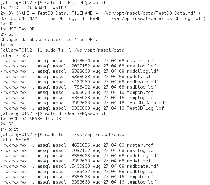 snímek obrazovky znázorňující vytvoření testovací databáze