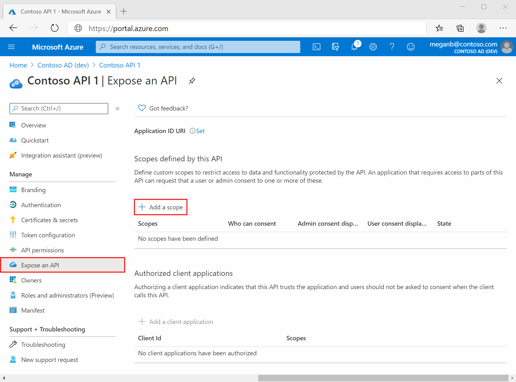 An app registration's Expose an API pane in the Azure portal