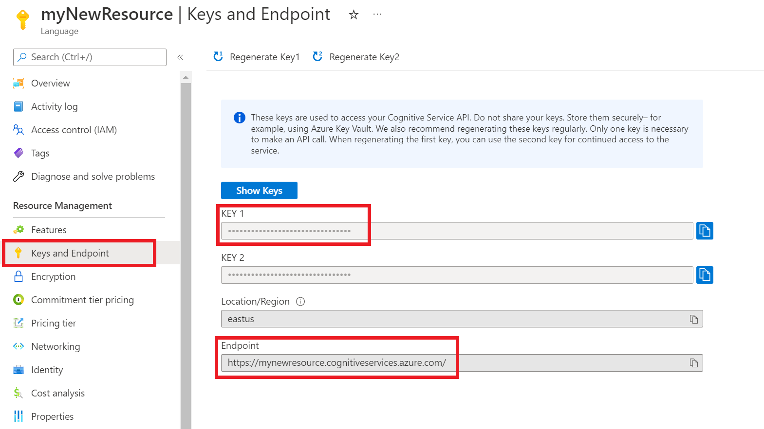 Snímek obrazovky zobrazující stránku klíče a koncového bodu v Azure Portal