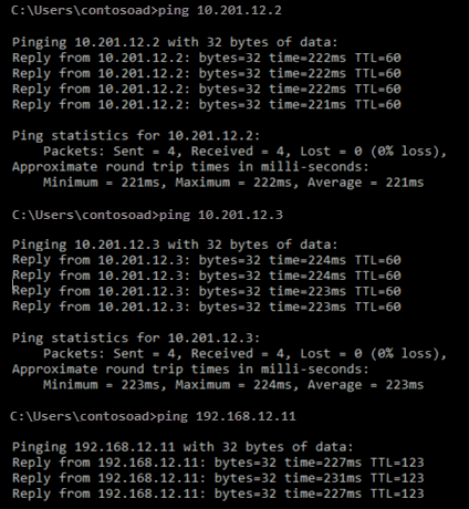 Screenshot shows the ping command and the results of the ping.