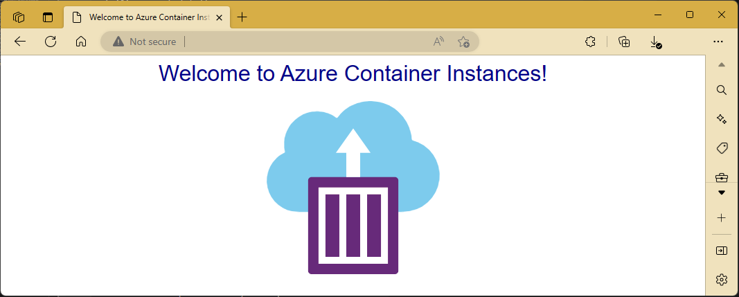 Snímek obrazovky s ukázkovou stránkou služby Azure Container Instances