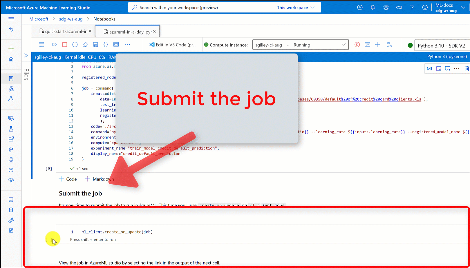 Screenshot shows the overview page for the job.