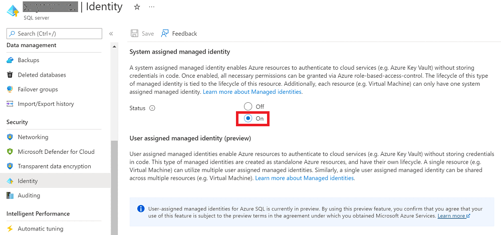 Snímek obrazovky se zapnutím spravované identity přiřazené systémem