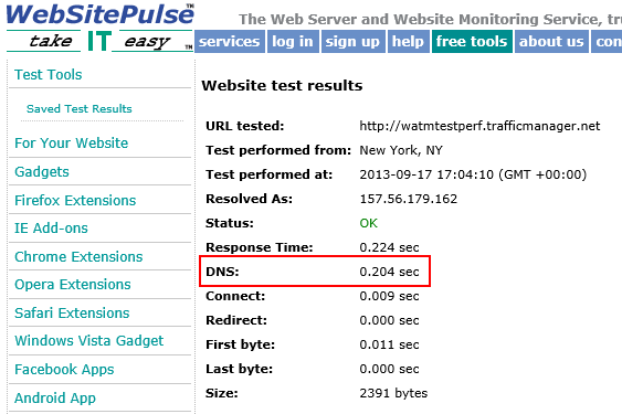 Snímek obrazovky znázorňující nástroj WebSitePulse se zvýrazněným výsledkem vyhledávání DNS