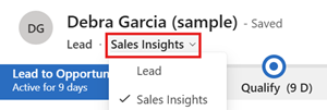 Screenshot rozevírací nabídky pro výběr formuláře Sales Insights