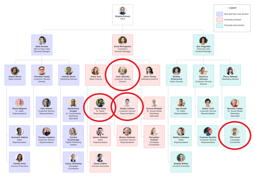 Snímek obrazovky znázorňující fiktivní hierarchický organizační diagram pro kosmetickou společnost