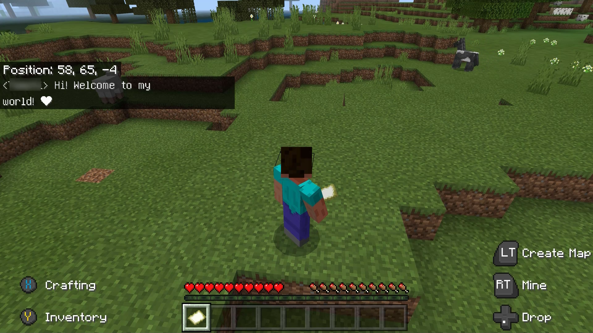 Postava z Minecraftu, Steve, stojí na poli. Hráč tomuto charakteru poslal zprávu: 