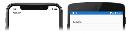 Snímek obrazovky s objektem Entry obsahujícím text v iOSu a Androidu