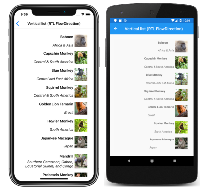 Snímek obrazovky s rozložením svislého seznamu CollectionView zprava doleva v iOSu a Androidu