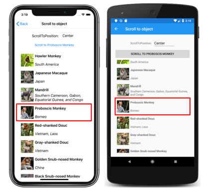 Snímek obrazovky se svislým seznamem CollectionView s scrollToPosition.Center v iOSu a Androidu