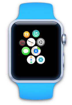 Apple Watch screen