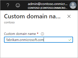 Custom domain name pane
