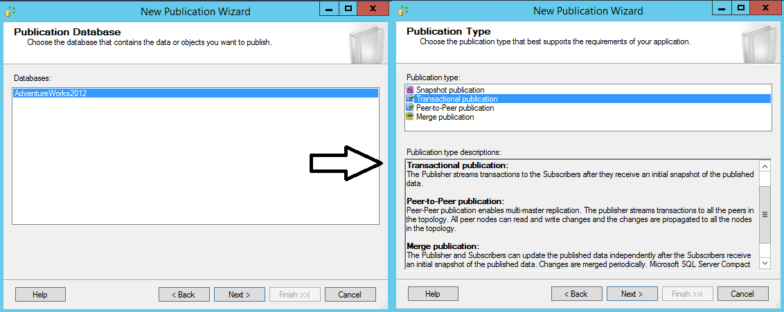 Stránka Typ publikace s vybraným typem publikace