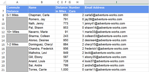 Screenshot of the report exported to Excel, with lines.