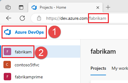 Snímek obrazovky s výběrem vaší organizace Azure DevOps