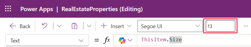 Screenshot of the size being set to 13 in the toolbar.
