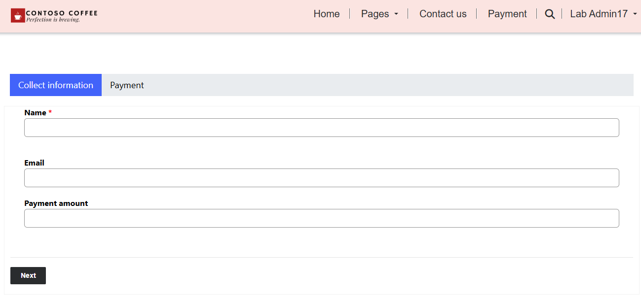 Screenshot of the full payment form.