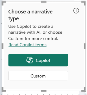 Snímek obrazovky zobrazuje možnost Copilot pro vizuál Inteligentní vyprávění.