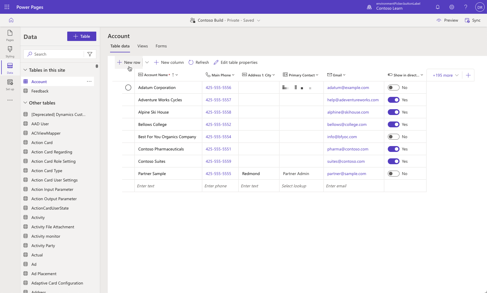 Screenshot of account table with some data rows entered.