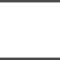 Rendering of a two parallel horizontal lines representing the Data Store Element.