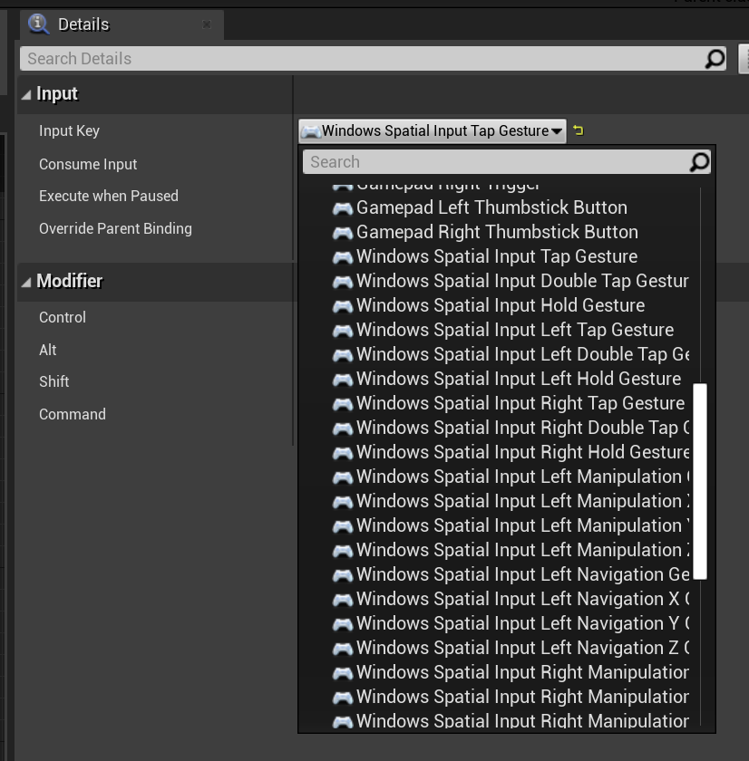 Snímek obrazovky s možnostmi gesta prostorového vstupu Windows na panelu podrobností