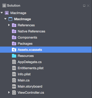 Selecting the Assets.xcassets