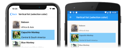 Snímek obrazovky se svislým seznamem CollectionView s vlastní barvou výběru v iOSu a Androidu