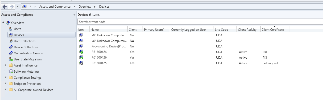 Screenshot of PKI cert for the client certificate state.