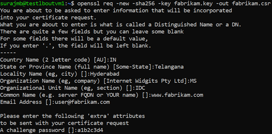 Screenshot of server certificate.