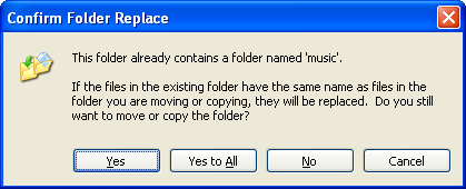 screen shot of confirm folder replace dialog box