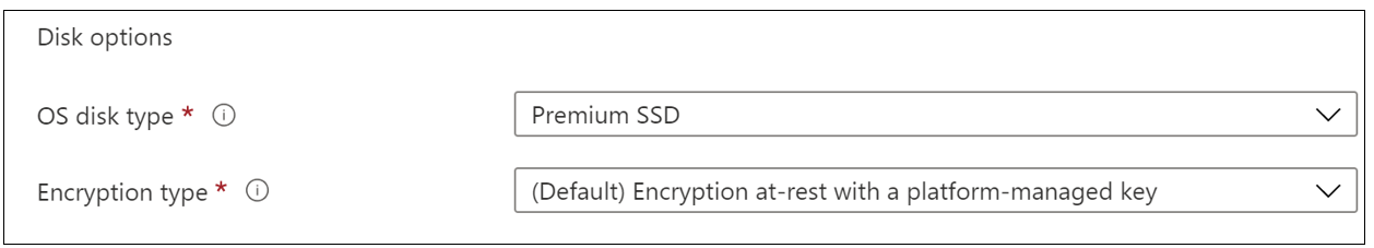 Disk options section showing where you select the disk and encryption type for the virtual machine