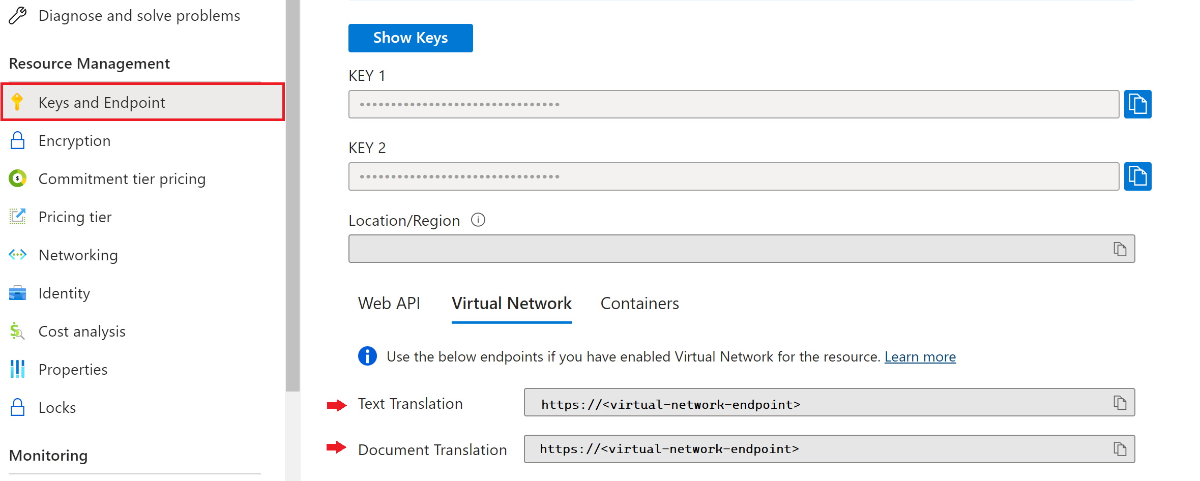Screenshot of the virtual network endpoint.