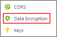 Screenshot of the Data Encryption option on the resource navigation menu.