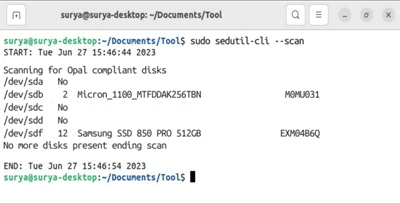 Screen capture showing the successful results when scanning a system for Data Box Disks.