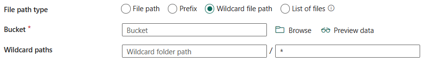 Screenshot showing wildcard file path.