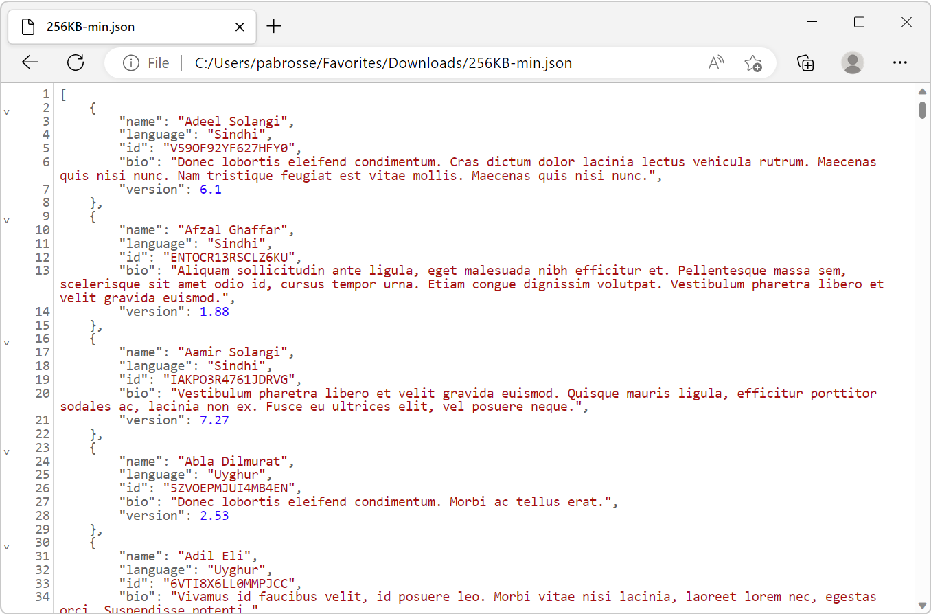 JSON data stored in a local file, formatted and syntax-highlighted by the JSON viewer