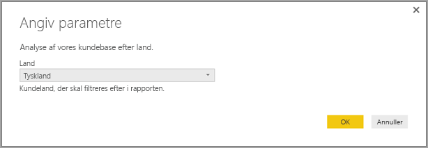 Skærmbillede af dialogboksen Indtast parametre.