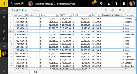 Screenshot showing Excel Online in Power BI.