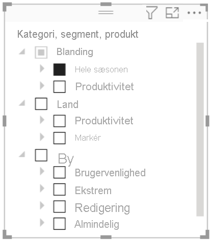 Hierarchy slicer i Power BI Desktop for Power BI-rapportserver.