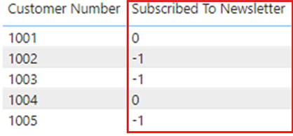 Skærmbillede af en visuel visning, der viser data dukke op i et uventet format efter opdatering.