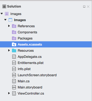 The Assets.xcassets file in the Solution Explorer