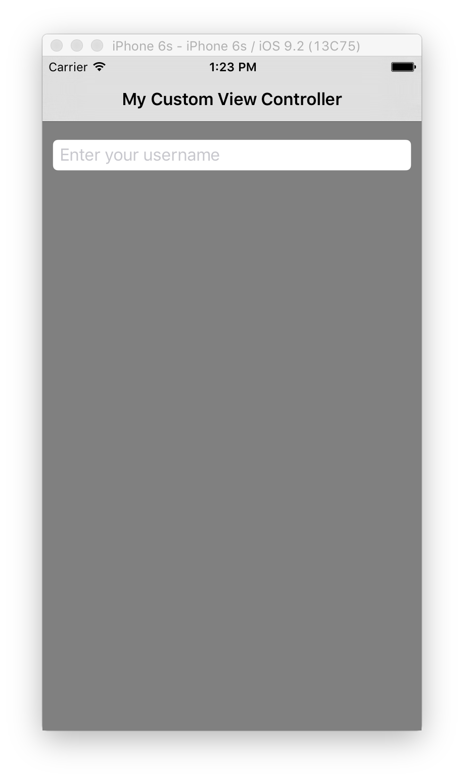 The application with the UITextField included
