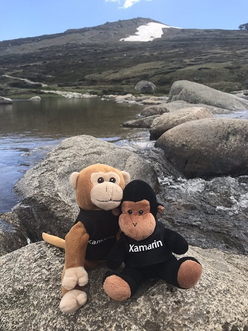 Mountain Climbers Mountain Climbers